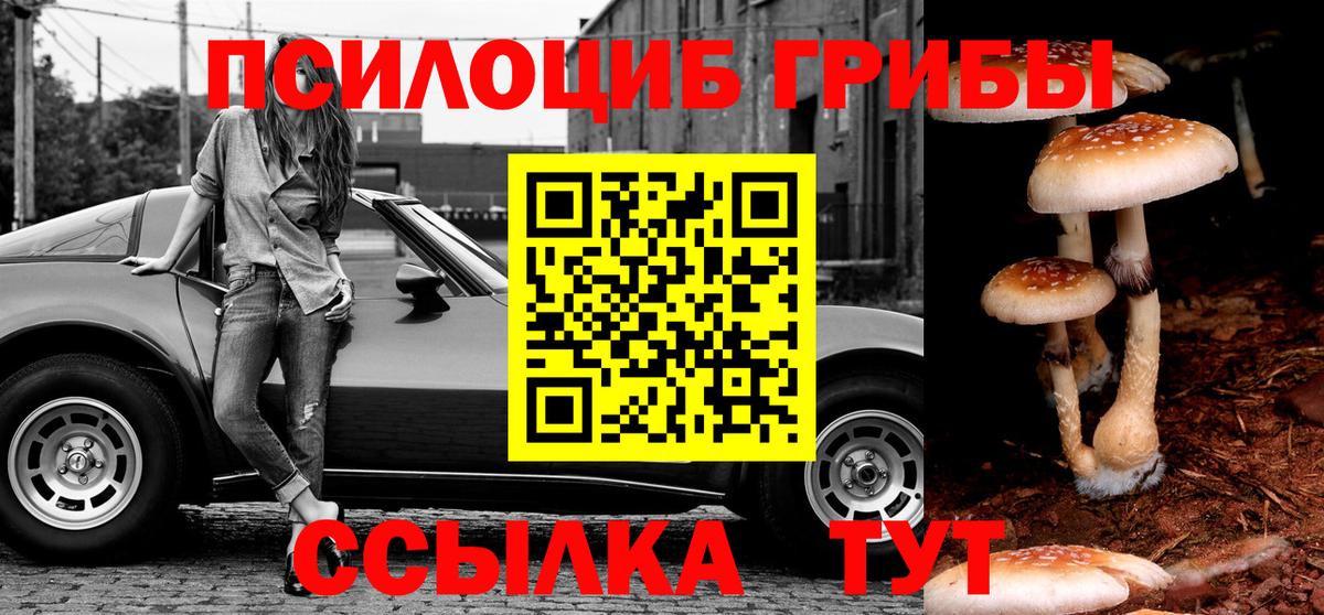 Галлюциногенные грибы Psilocybine cubensis  Псилоцибиновые грибы GOLDEN TEACHER  Вход с VPN  Тельмана 
