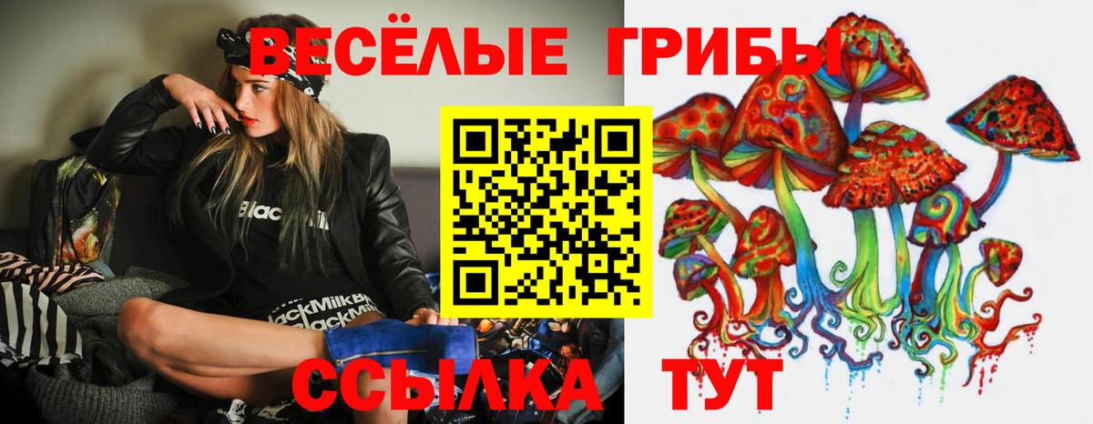 Псилоцибиновые грибы GOLDEN TEACHER Тельмана